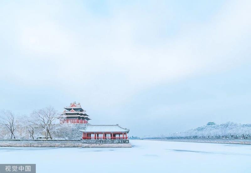 今日大雪——中国大黄网